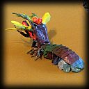 Mantis Shrimp, version 2
